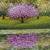 Reflections