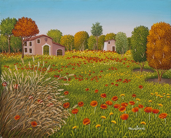 Grass of my garden