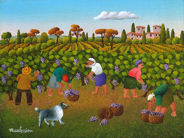 Vendemmia